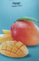 Preview: Mango MAYA - gelbe Mango Mangifera indica - Mangobaum - veredelt - 130cm -