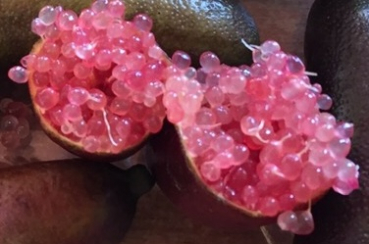Australische Fingerlimette - Microcitrus australasica 'PINK RED MIA ROSE'-  Kaviarlimette