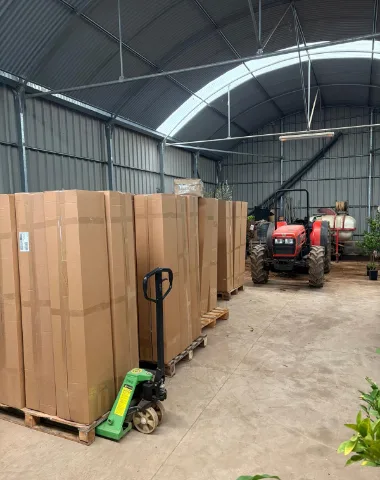 Versandfertig verpackte Pflanzen in hohen Kartons auf Paletten in der Halle